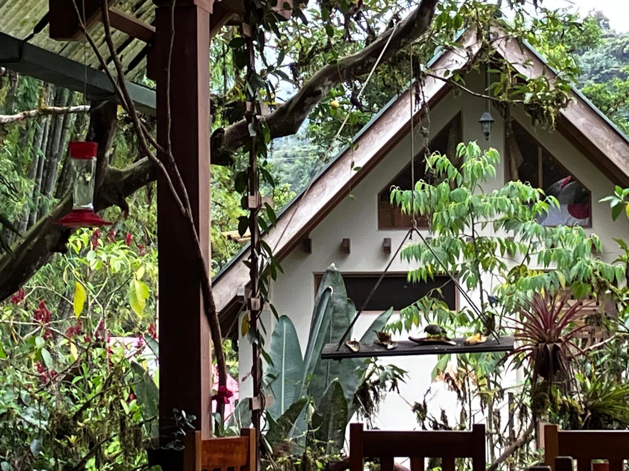 Casa Del Rio En Mindo Exterior foto