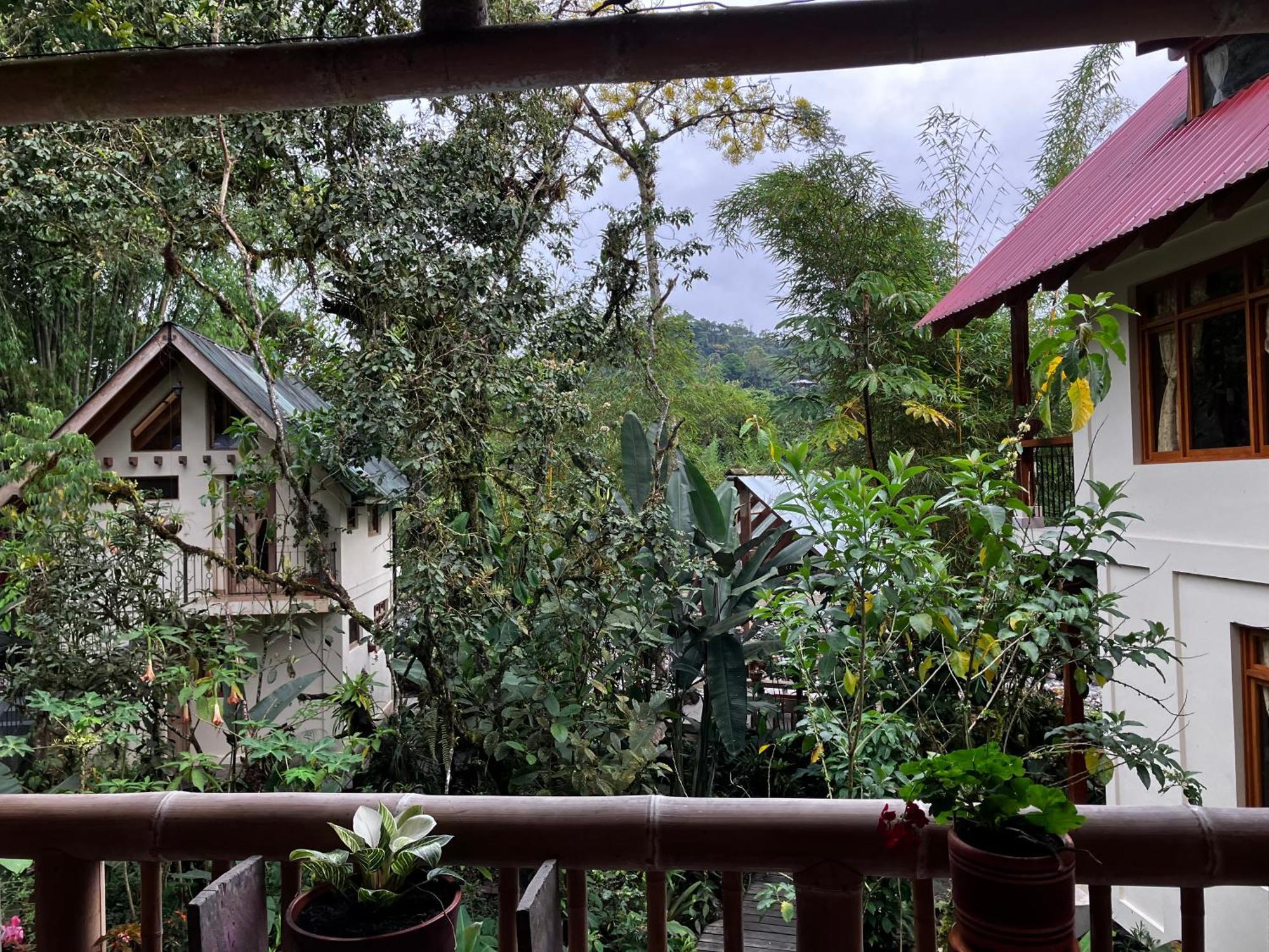 Casa Del Rio En Mindo Exterior foto