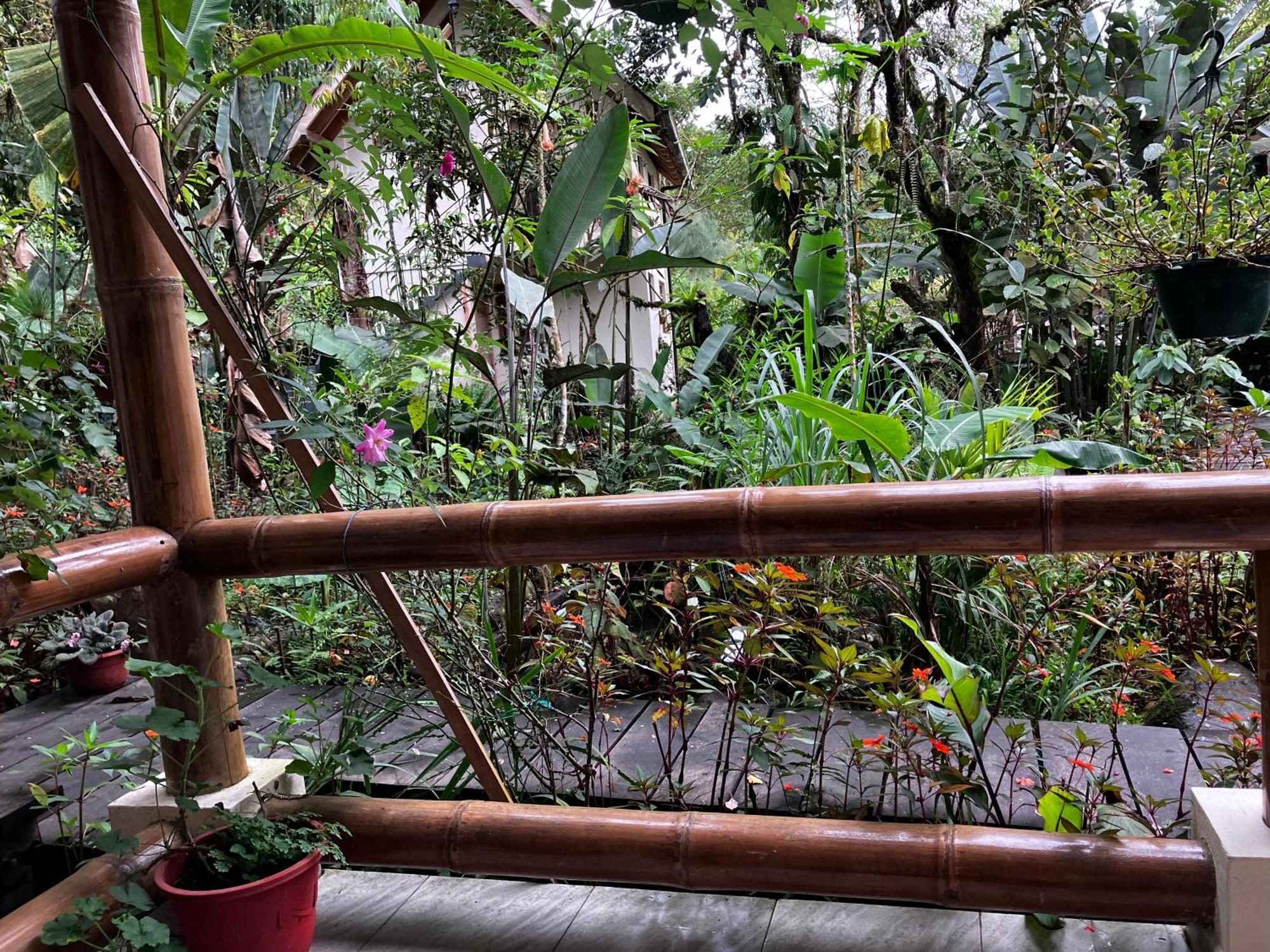 Casa Del Rio En Mindo Exterior foto